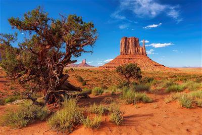 Monument Valley Nationalpark